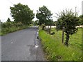 Road at Crockbane