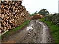 SD1294 : Logging by William Bartlett