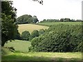 Fields, Yonkin Farm