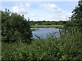 Pool in Oily Goughs  nature reserve