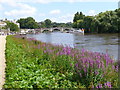 Riverside at Richmond