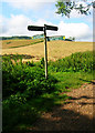 Footpath Junction near Upper Hyde