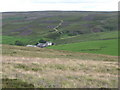 Moorland around Heatheryburn Farm