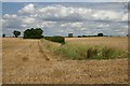 Farmland at Boyton End