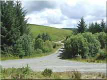 SN7253 : Forest Roads near Esgair Llethr, Ceredigion by Roger  D Kidd