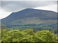 Tinto Hill as viewed from East Mains, near Coulter