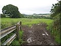 Field near Woolminstone