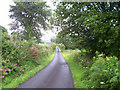 Cefn y Coed Common