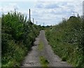 Track to Lodge Farm