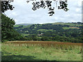 Grazing Land and Teifi Valley, Llanio, Ceredigion