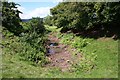 Marl Pit, Bakehouse Orchard, Welland