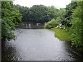 SJ1411 : Confluence of the Banwy and Vyrnwy rivers by Penny Mayes