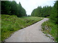 NN1575 : Track in Leanachan Forest by Iain Thompson