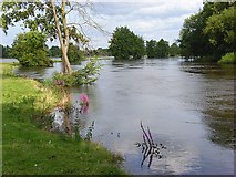 SU7983 : River Thames, Medmenham by Andrew Smith