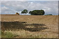 Harvesting Oil Seed Rape, near Whichford