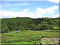 SH7137 : Cors Tyddyn Felin Bog by Eric Jones