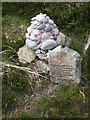 NO6480 : A new mini-cairn by Cairn o'Mount by Stanley Howe