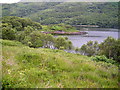 NM6751 : Bay in Loch Arienas by Iain Thompson