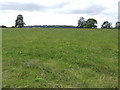 Pasture land west of Nortons Farm