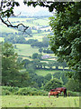 Across the Teifi Valley, Ceredigion