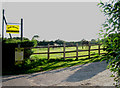 Horses at grass at Hill House