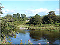 Afon Rheidol, Aberystwyth