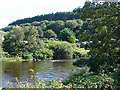 Afon Rheidol