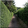 Public Footpath - Baildon Road