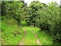 Country lane at Labby