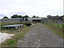 NZ0720 : Streatlam Grange Farm. by Donald Brydon