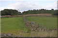 Dry stane wall