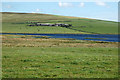 Rough grazing at edge of Hundland Loch