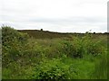 Ballynagilly Townland