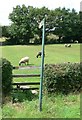 Public Footpath off Broad Lane