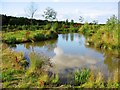 Coarse Fishing Pond at Green Lane Farm