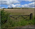 Field near Cliffe Hill Quarry