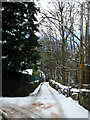 Roads to the Tops, Melin y Coed