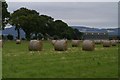 Hay bales at Broomhall