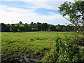 Farmland near Twyford