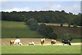 Farmland at Loyalbank, near Alyth