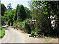 Road past the Museum of Straw Work