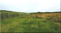 SH4774 : Public footpath running parallel with ditch and dyke by Eric Jones