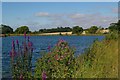 Reservoir  Near Ardley End