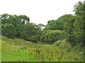 The valley of Afon Ceint