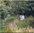 Garden at Salisbury Hospice