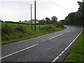 H1255 : A46 Lough Shore Road near Church Hill by Kenneth  Allen
