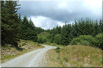 SN7253 : Stormy Sky over the Forest, near Bryn Carregog, Ceredigion by Roger  D Kidd