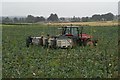 Cabbage-picking, near Ardler