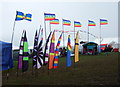 Flags at the festival