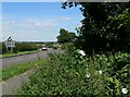 Forest Road north of Woodhouse